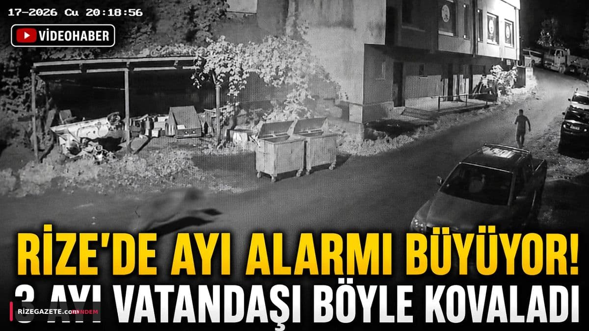 Rize'nin Çamlıhemşin İlçesinde Ayı Tehlikesi Artıyor: Yaylalar Talan Edildi, Yaralı Boz Ayı İçin Seferberlik Başlatıldı