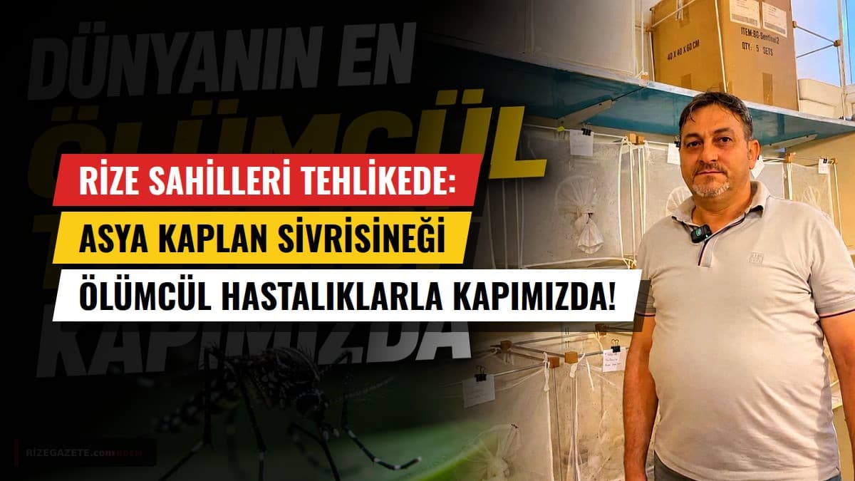 Rize Sahilleri Tehlikede: Asya Kaplan Sivrisineği Ölümcül Hastalıklarla Kapımızda!