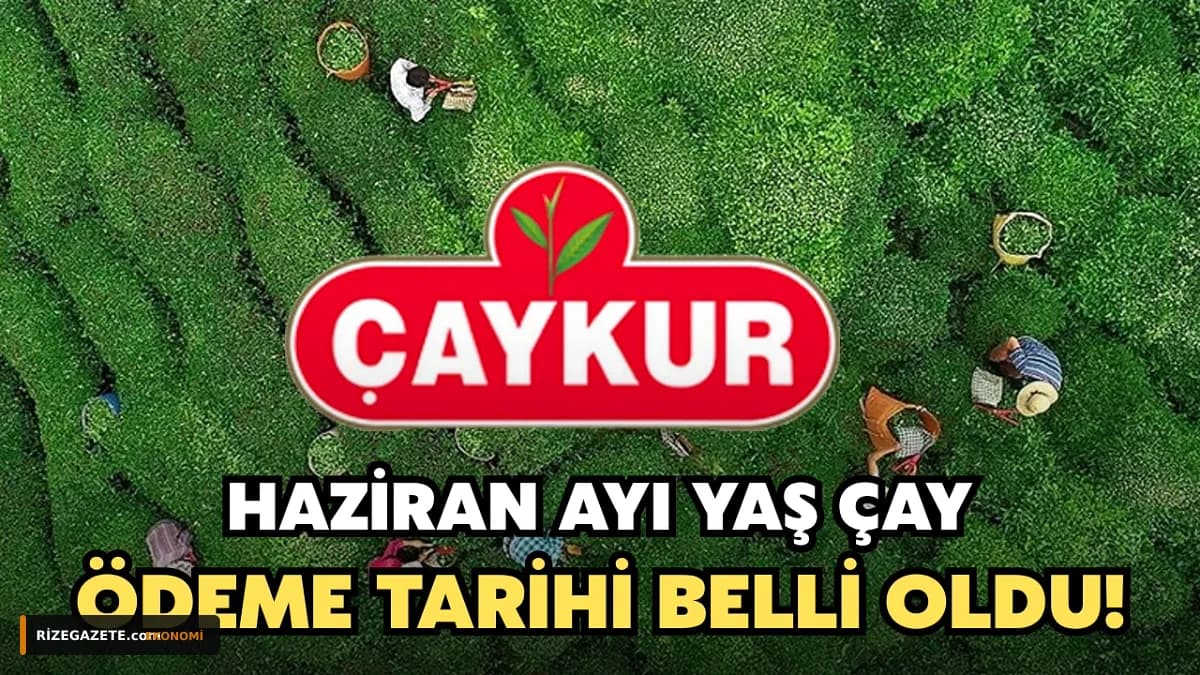 ÇAYKUR'dan Çay Üreticilerine Beklenen Müjde: Haziran Ayı Yaş Çay Ödemeleri Yarın Hesaplarda!