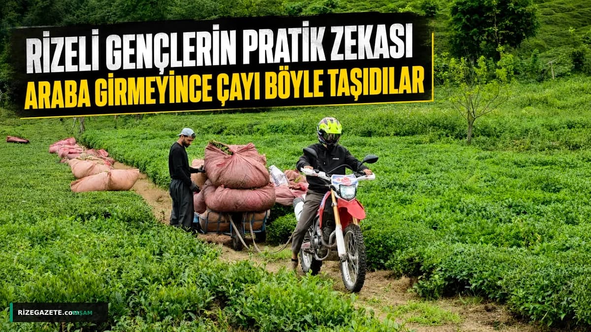 Rizeli Gençlerin Çay Hasadındaki 'Arazi Motoru' Çözümü Türkiye'ye İlham Oldu: Yokuşlara Meydan Okuyan Pratik Zeka!