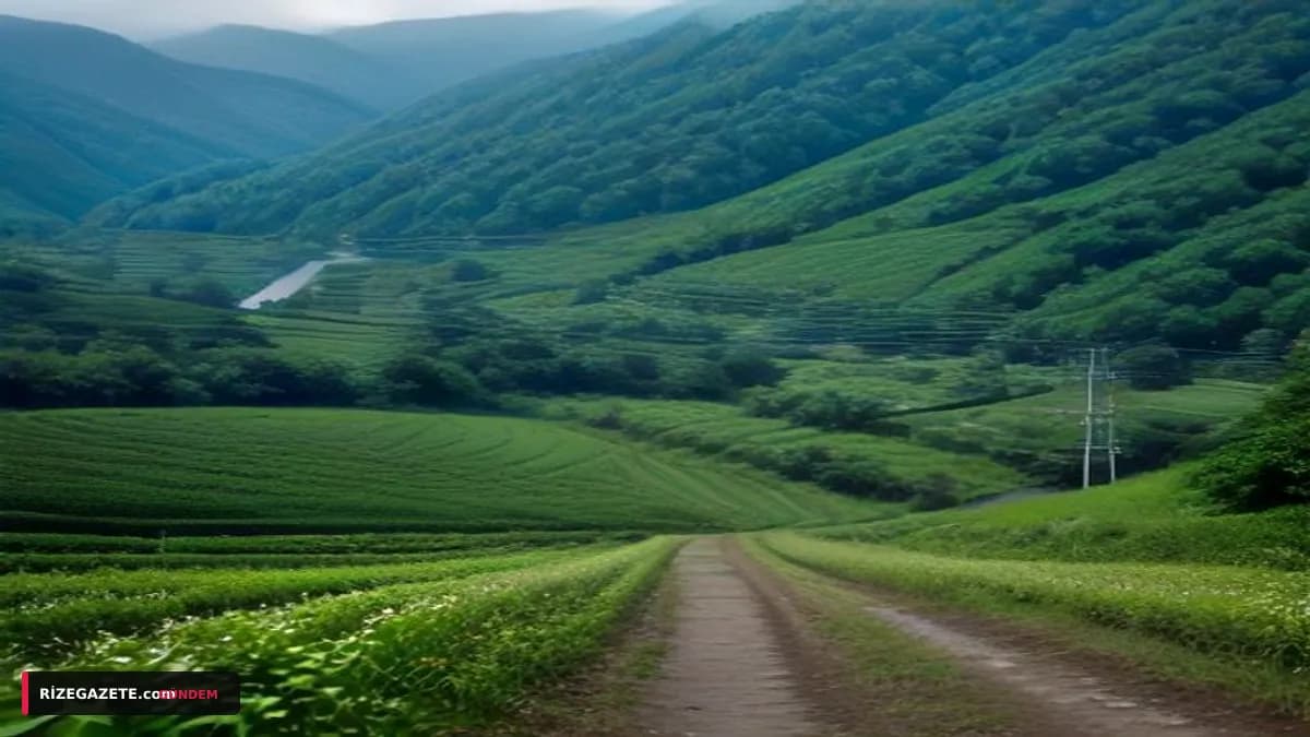 Rize'de Cumartesi Günü Elektrik Kesintisi Alarmı: Hangi İlçeler ve Mahalleler Etkilenecek?