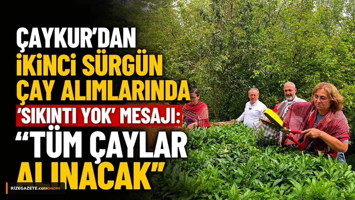 Rize'ye ÇAYKUR'dan Tam Güvence: İkinci Sürgün Çay Alımları Hız Kesmeden Devam Ediyor, 'Tüm Ürünler Alınacak'