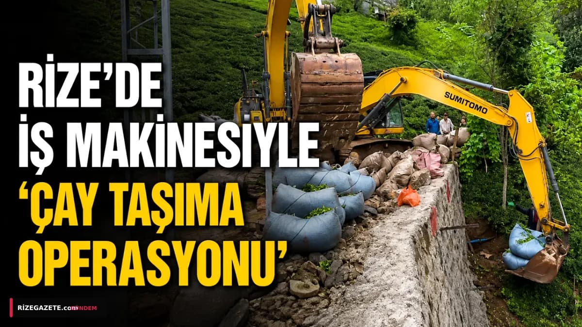 Rize'nin Sarp Yamaçlarında İş Makinesiyle 'Çay Operasyonu': Zorlu Hasada Pratik Çözüm!