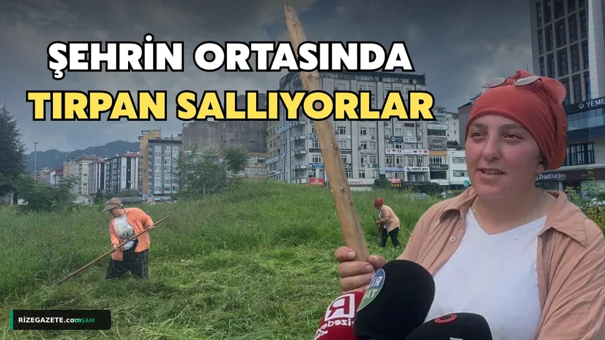 Rize Kent Merkezinde Tırpanla Geçim Mücadelesi: Zeynep Cengiz'in Hayvanları İçin Olağanüstü Çabası