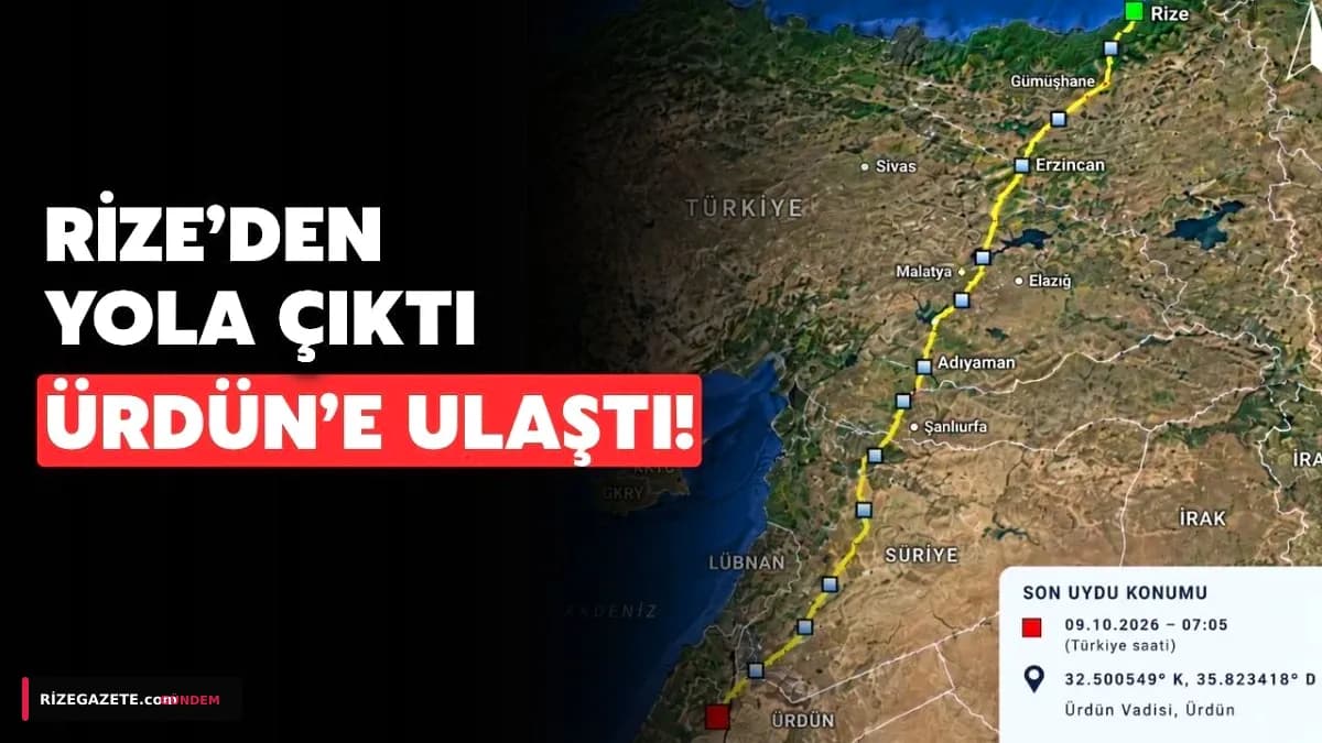 Rize'den Kanatlanan Arı Şahini, 9 Günde Ürdün'e Ulaştı: Bilimsel Veri Sağlayan Epik Göç Yolculuğu