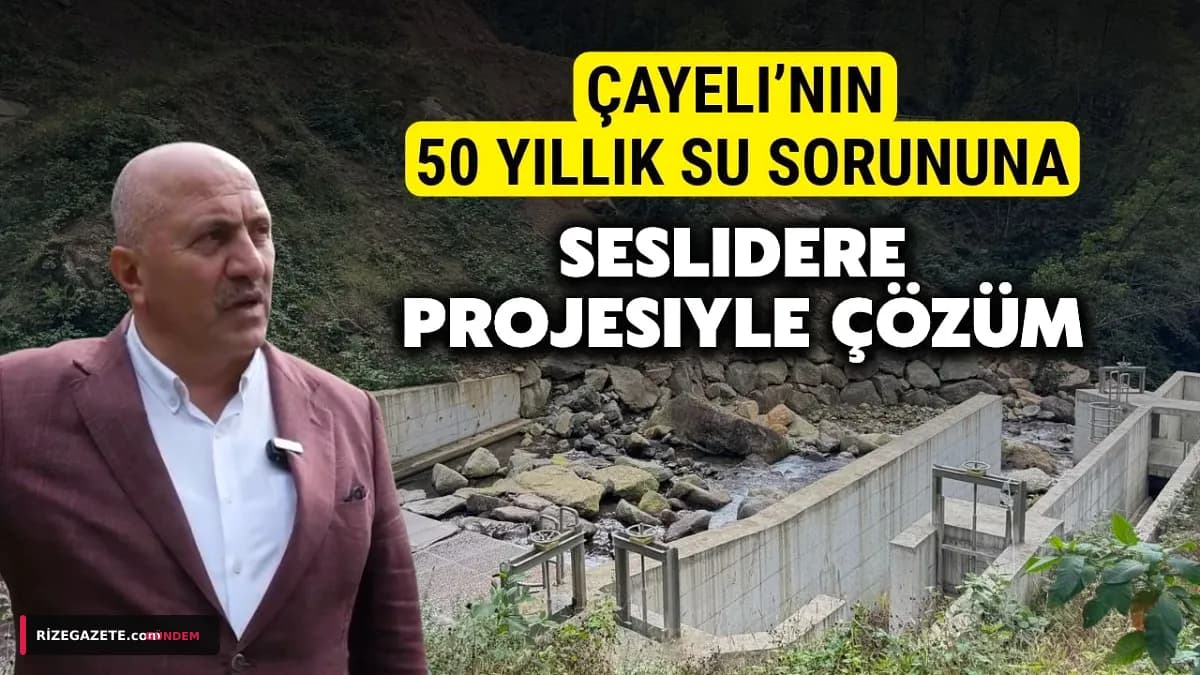 Çayeli'nin Yarım Asırlık Susuzluk Çilesi Bitiyor: 800 Milyon TL'lik Seslidere Projesi'nde Son Viraj!