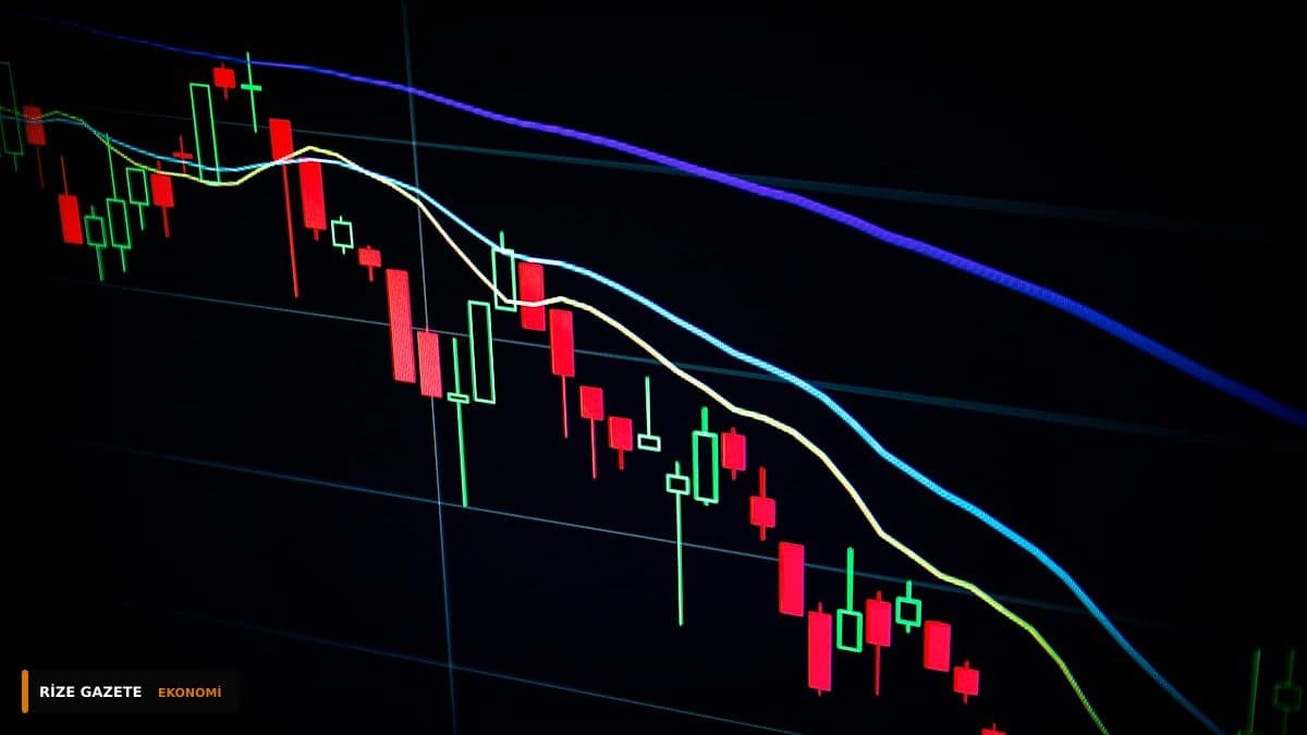Rize'de Finansal Gelecek: Akademisyenler İş Dünyasının Nakit Haritasını Çıkardı