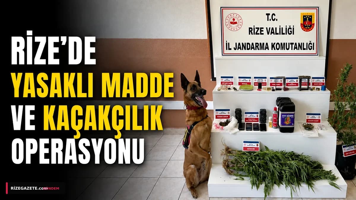 Rize'de Organize Suç Şebekelerine Büyük Darbe: 53 Gözaltı, 24 Tutuklama!