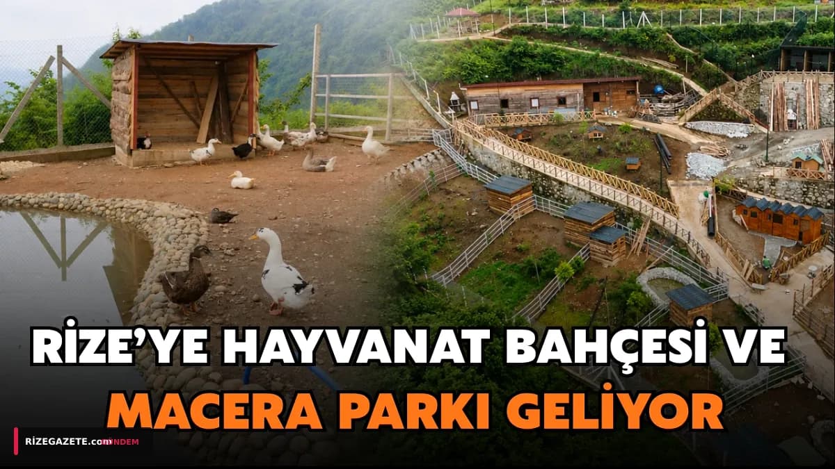 Rize'nin Kalbinde Doğa ve Heyecan Buluşuyor: Isırlık'a Butik Hayvanat Bahçesi ve Macera Parkı Geliyor!