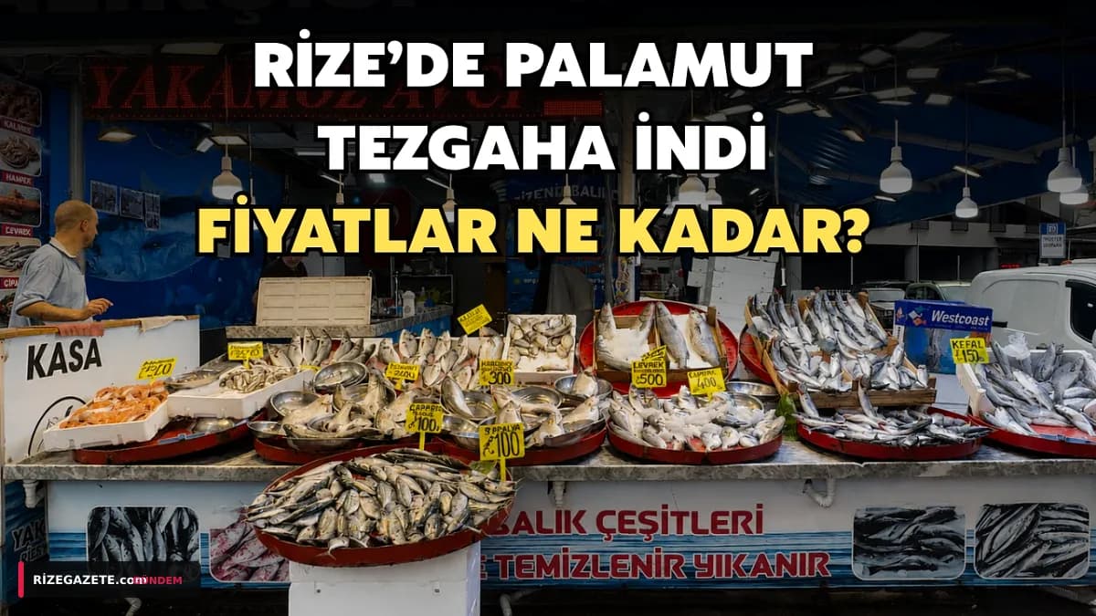 Karadeniz'in Gözdesi Palamut Rize Tezgâhlarında: Erken Başlayan Sezon, Yüksek Fiyatlarla Merhaba Dedi!