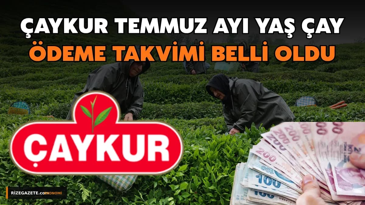 Rize'de ÇAYKUR'dan Çay Üreticilerine Büyük Ödeme Müjdesi: Temmuz Gelirleri ve Organik Destek Hesaplarda!