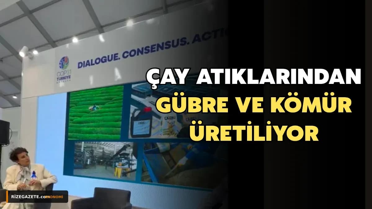 Rize'den Dünya Sahnesine: Çay Atıkları Milyonluk Dövize ve Enerjiye Dönüşüyor!
