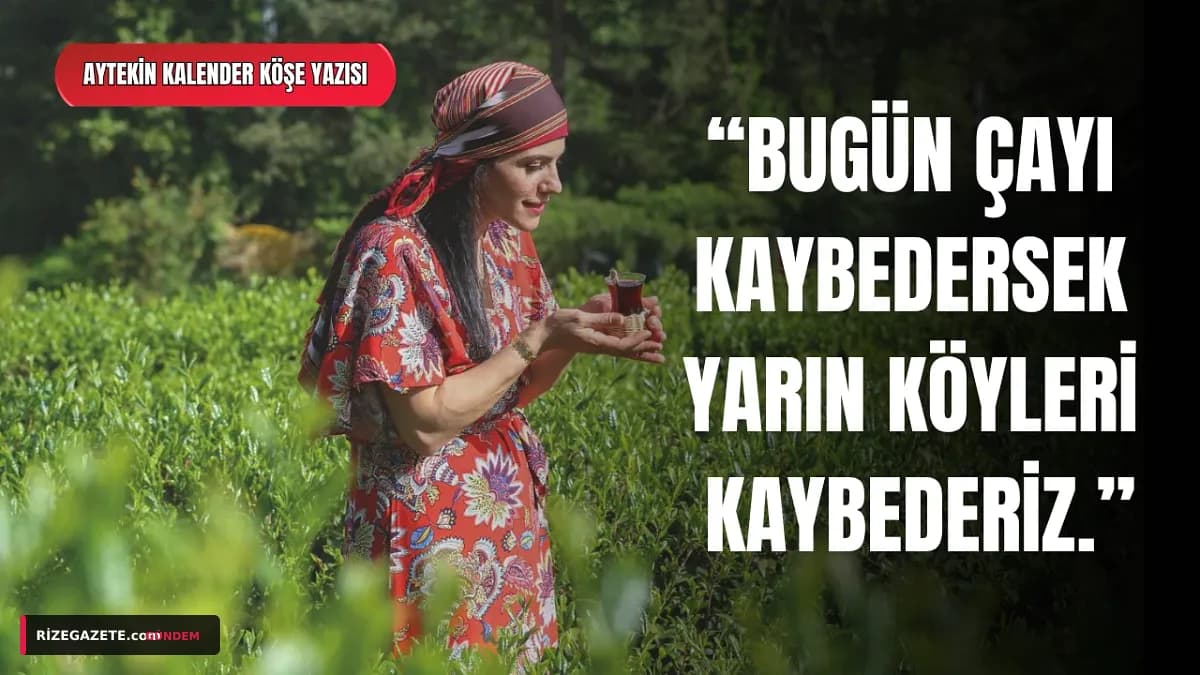 Rize Çayı Alarm Veriyor: 'Sessiz Sezon' Tehlikeli Bir Yanılsama mı?