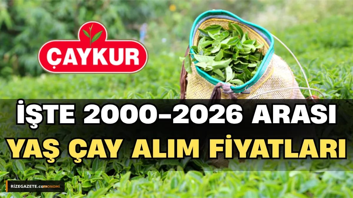 Rize'de Çay Üreticisinin Gözü Kulağı Fiyattaydı: 2026 Yılı Yaş Çay Taban Fiyatı 35 TL Olarak Açıklandı!