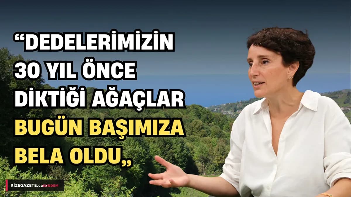 Rize'de Vatandaşın Diktiği Ağaçlar Nedeniyle Kaybettiği Topraklar Geri Dönüyor: Yeni Yasa Tapu Mağduriyetlerini Gideriyor