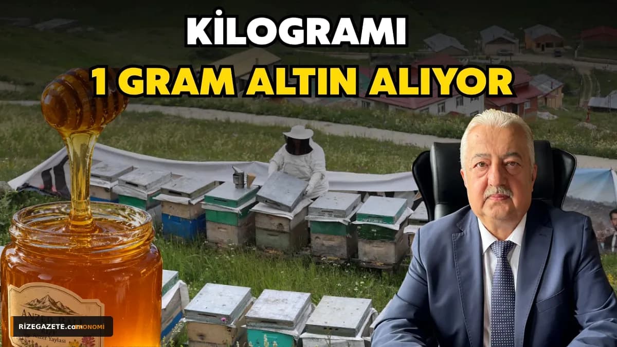 Rize'nin Altın Değerindeki Şifası: Anzer Balı'nda Rekolte Düşerken Fiyatlar Zirve Yaptı!