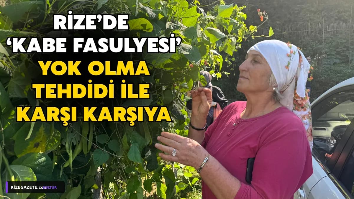 Rize'nin Eşsiz Mirası 'Kabe Fasulyesi' Yok Olma Tehlikesiyle Karşı Karşıya: Yöre Halkı Ata Tohumlarını Yaşatmaya Kararlı
