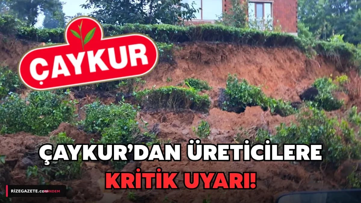 Rize Felaketin Eşiğinde: Şiddetli Yağış ve Heyelan Riskine Karşı ÇAYKUR'dan Çay Üreticilerine Hayati Uyarı