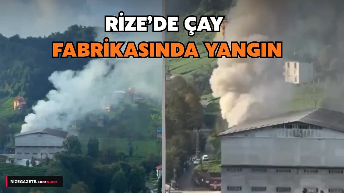 Rize'nin Çayeli İlçesinde Korkutan Yangın: Çay Fabrikasının Paketleme Bölümü Alevlere Teslim Oldu
