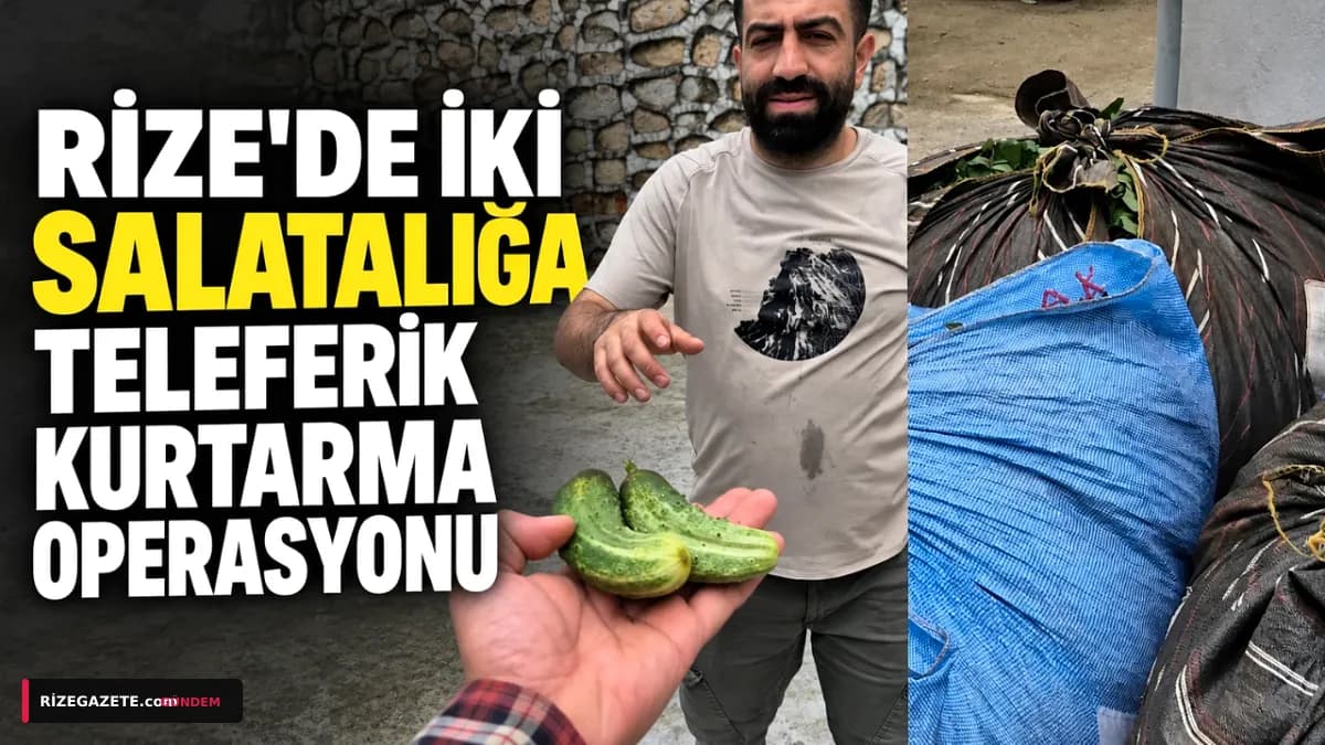 Rize'de Elektrikli Otomobil Çay Hasadını Kurtardı: Ücreti İki Salatalık!