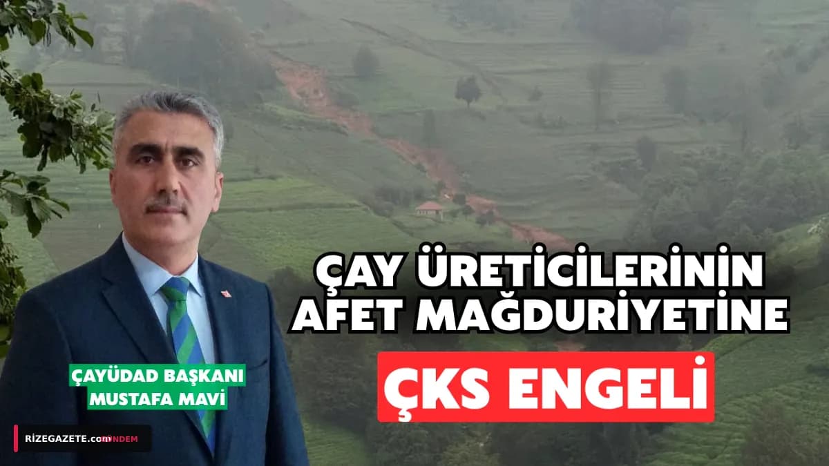 Rize'de Afet Mağduru Çay Üreticilerine ÇKS Engeli: Sigorta ve Desteklere Ulaşamıyorlar