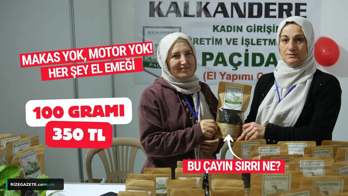 Rize'de El Emeği Göz Nuru: 100 Gram 'Nazlı Çay' İçin Saatler Süren Zahmetli Yolculuk