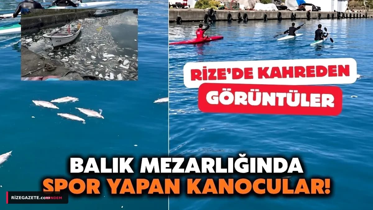 Rize Kıyılarında Çevre Alarmı: Denizdeki Palamut Mezarlığı Kano Sporcularını Vurdu