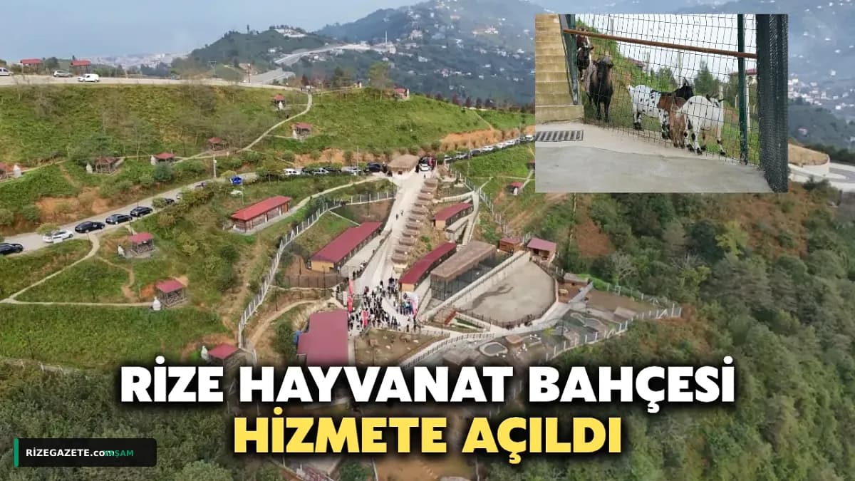 Rize'ye Yeni Yaşam Alanı: Isırlık Hobi Hayvanat Bahçesi Kapılarını Açtı! Çocuklar ve Turizm İçin Çifte Kazanç