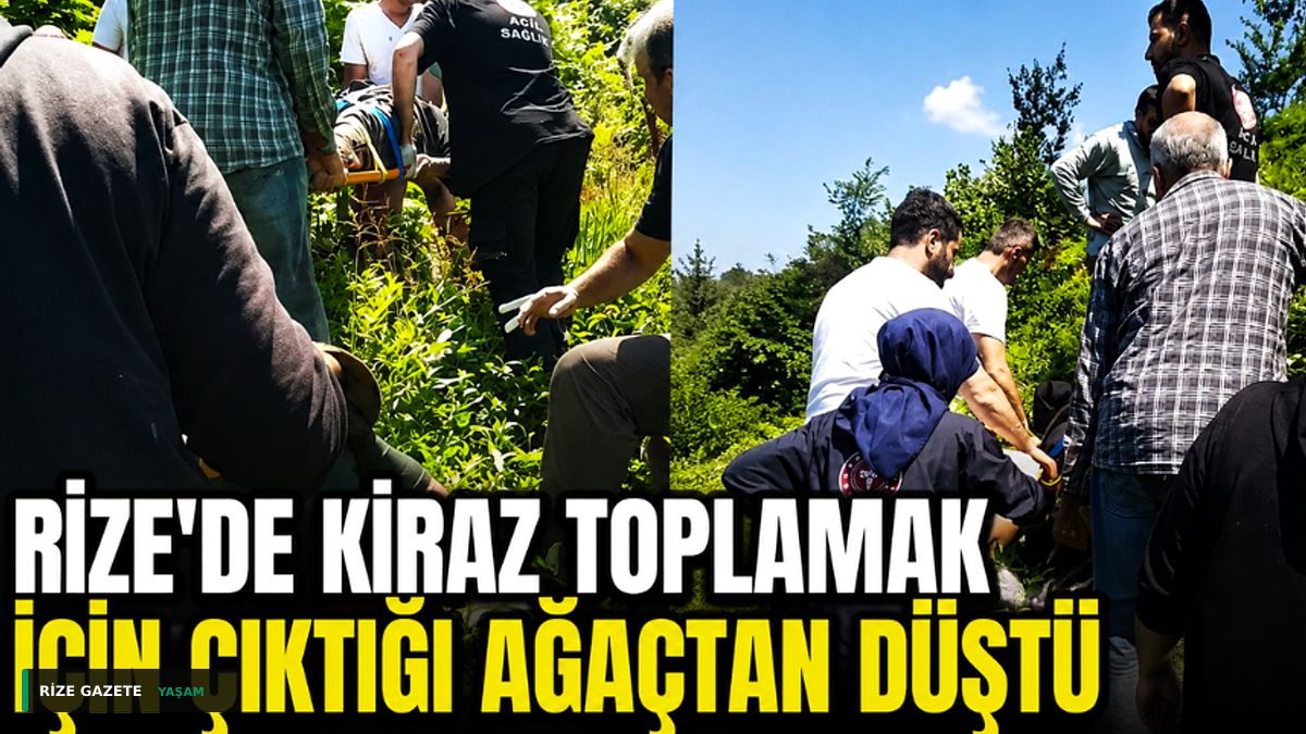 Rize’de Kiraz Hasadı Kabusa Döndü: 10 Metreden Yere Çakıldı